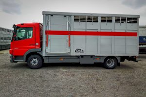 Viehtransporter-kurz