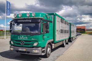 Viehtransporter-Zug